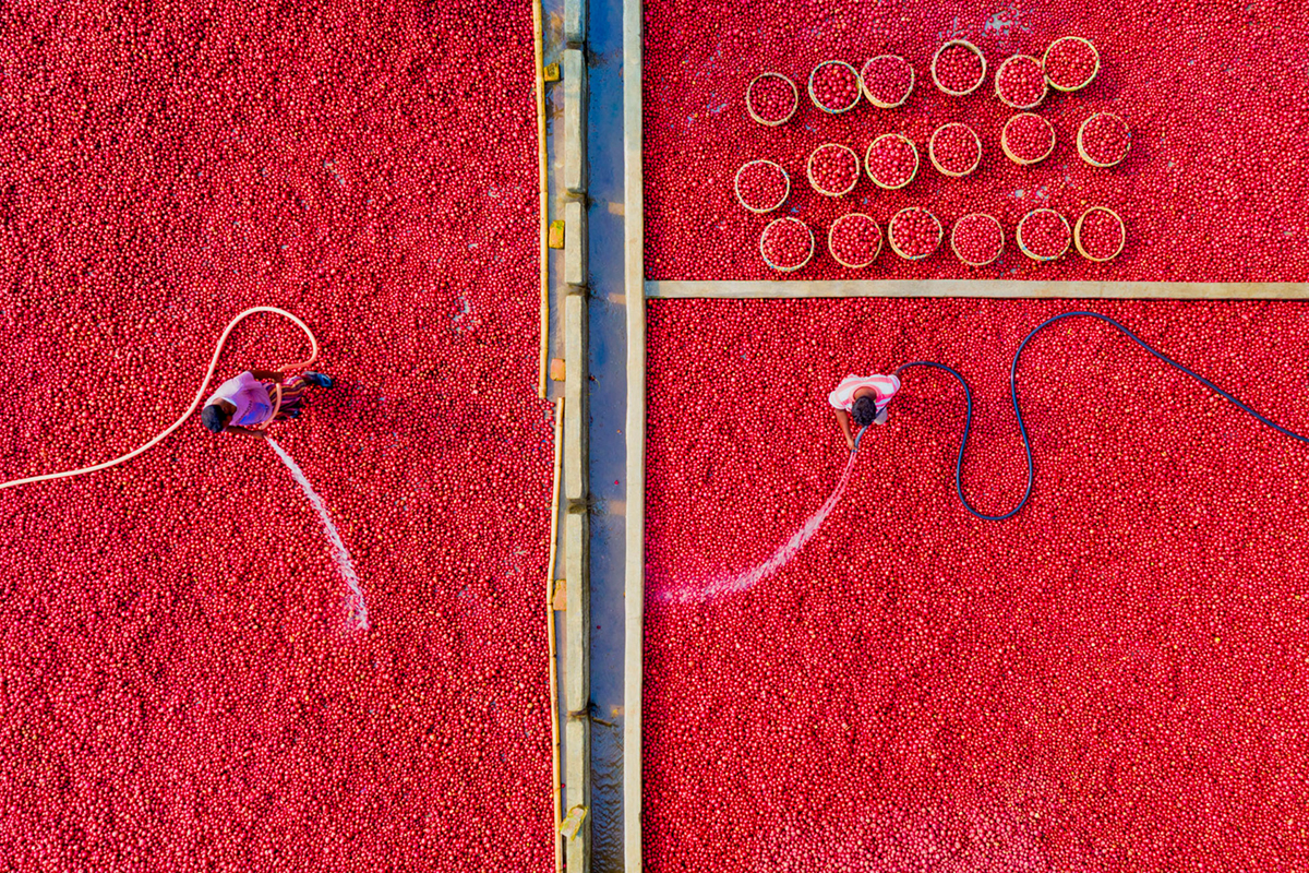 Cleaning Potatoes