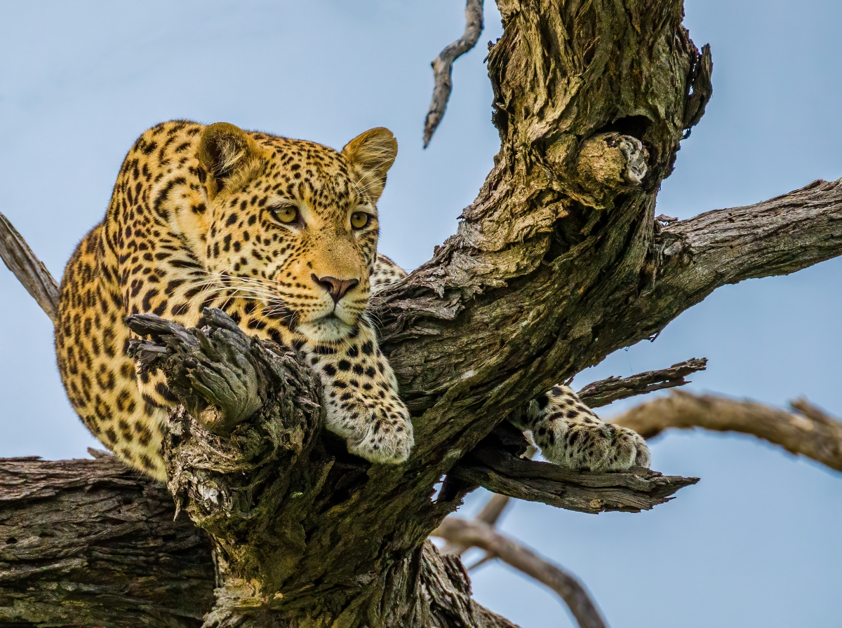 Relaxing 