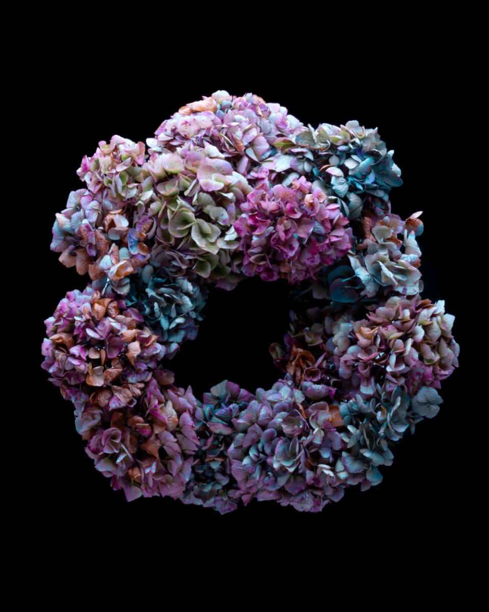 Waste not, Want not - circle