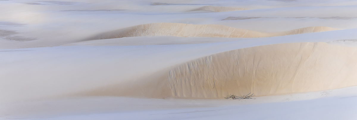 Life On Planet Mars