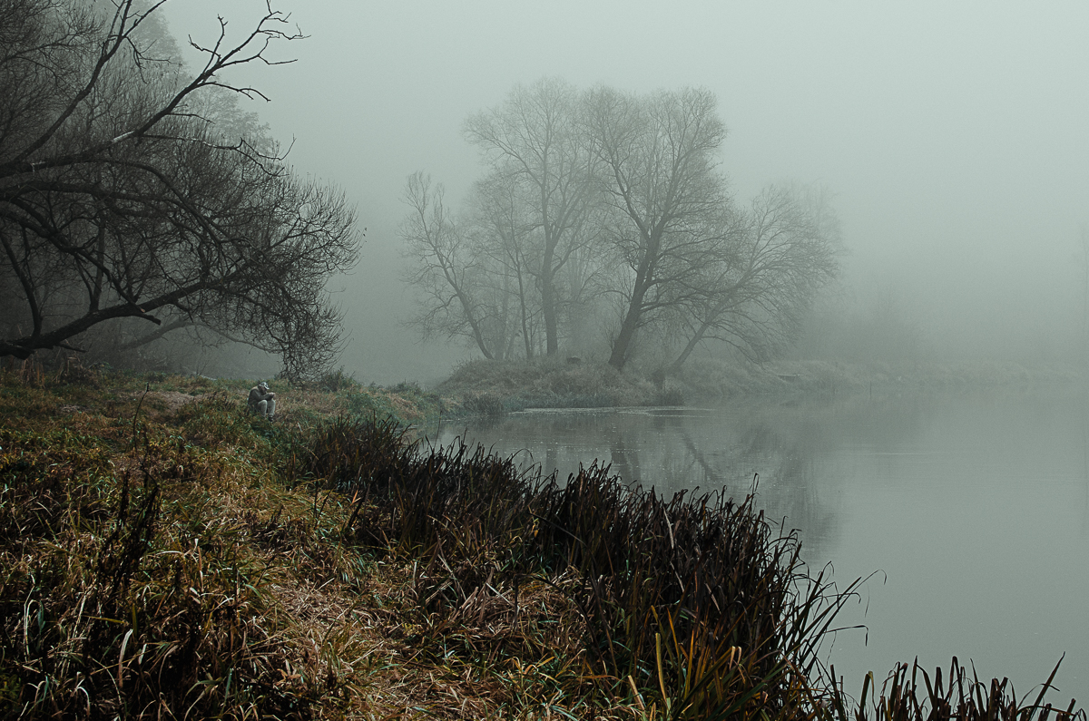 Morning in the fog