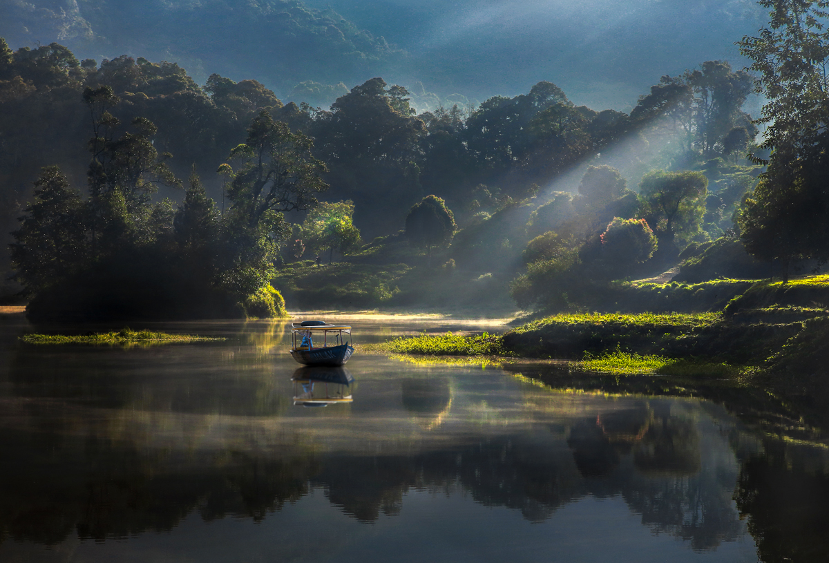 Morning View in Situ Patenggang
