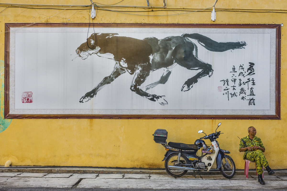 Horse and The Man