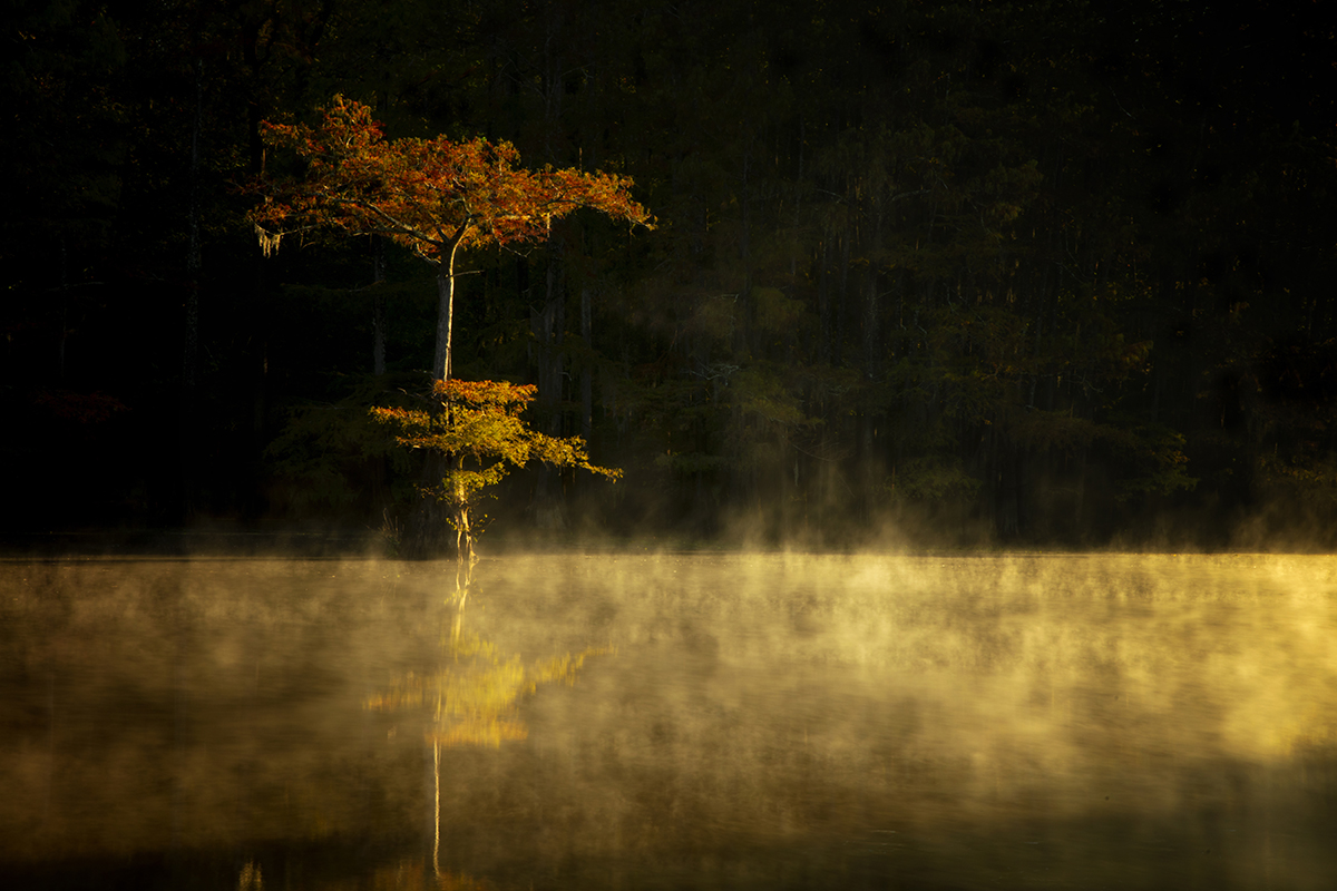Big Cypress Bayou