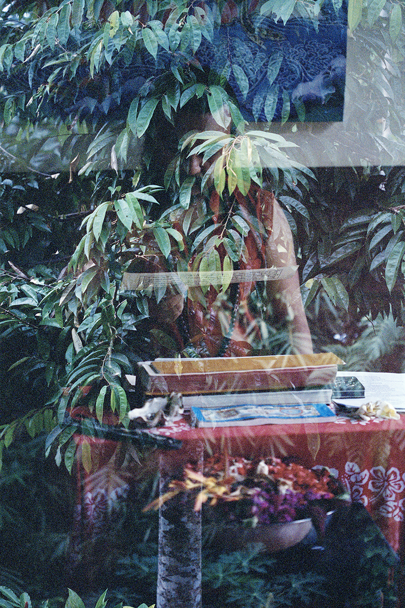 Symbiosis or Breathe In Breathe Out, analogue double exposure