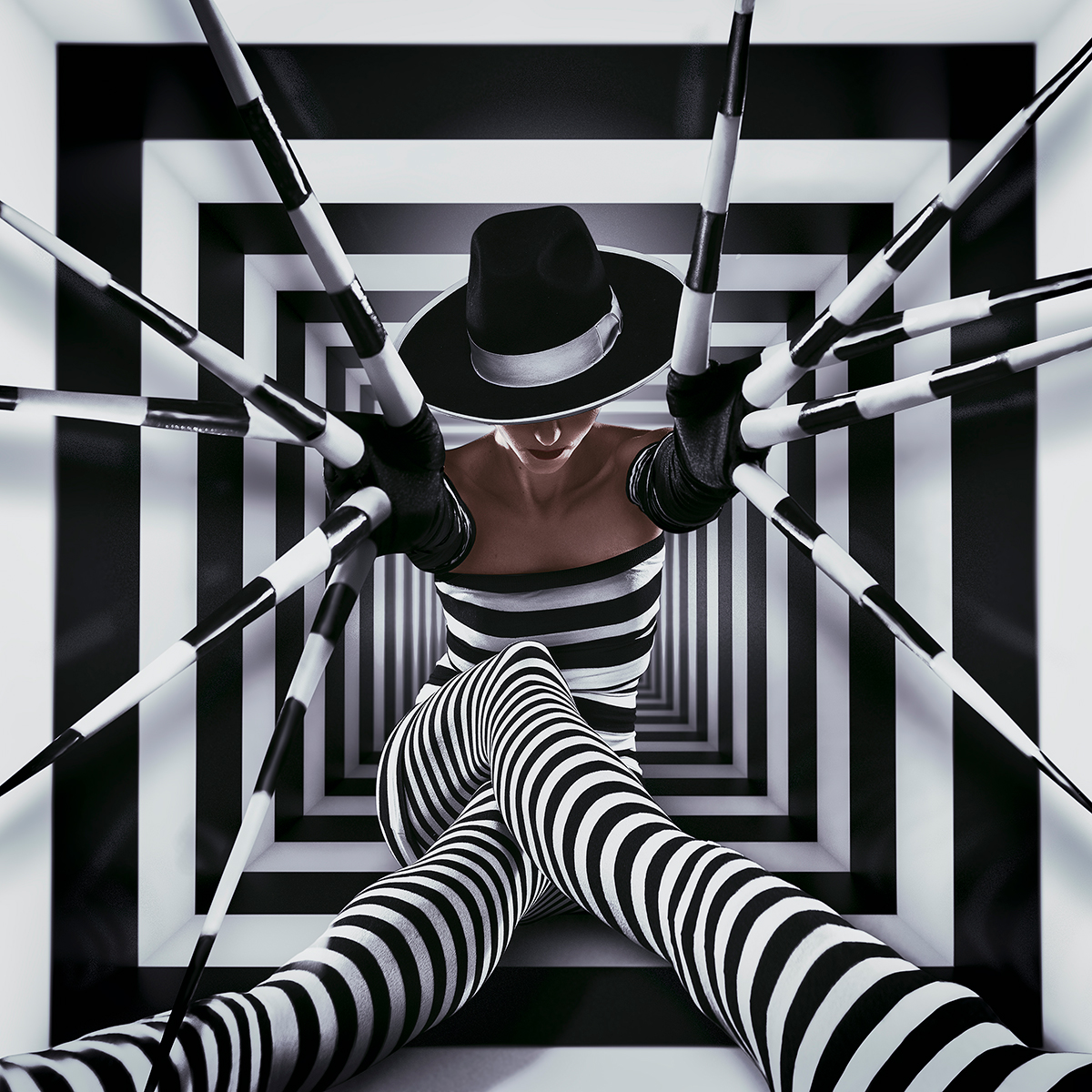 Virtual Prison