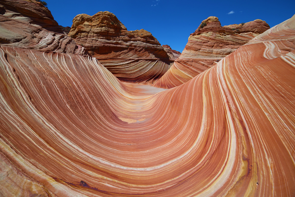 Nature is an artist