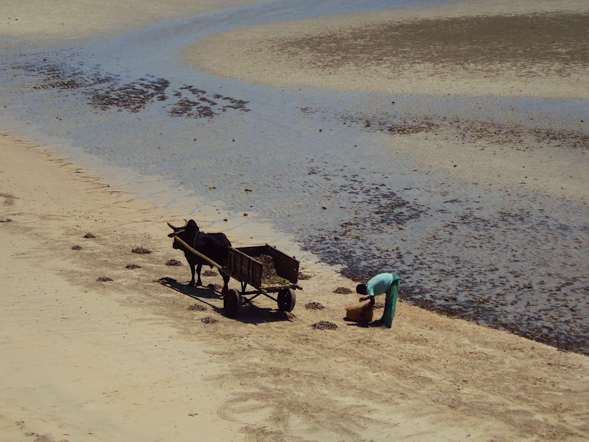 Andilana Beach