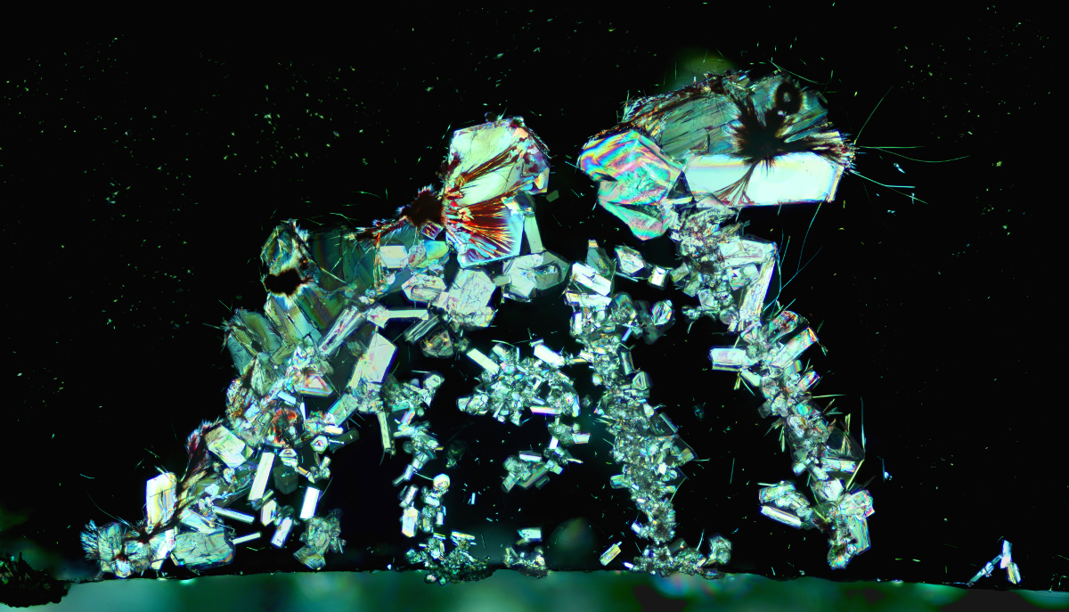 Star Walker