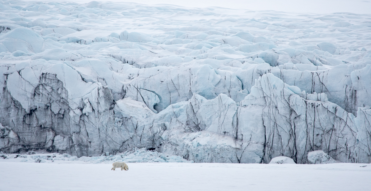North Of The Wall