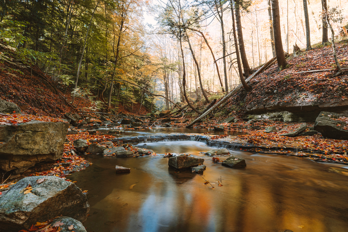 Flow of the Seasons