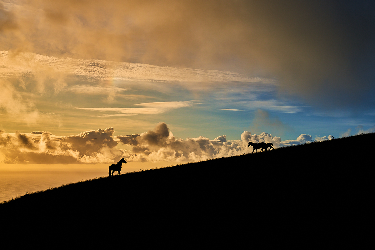 Friends at Sunset
