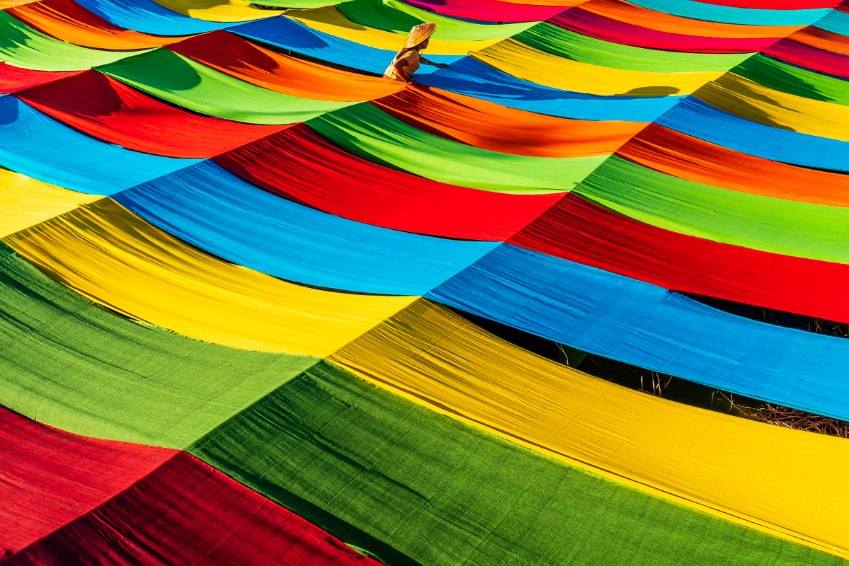 Colorful Lotus Fabric