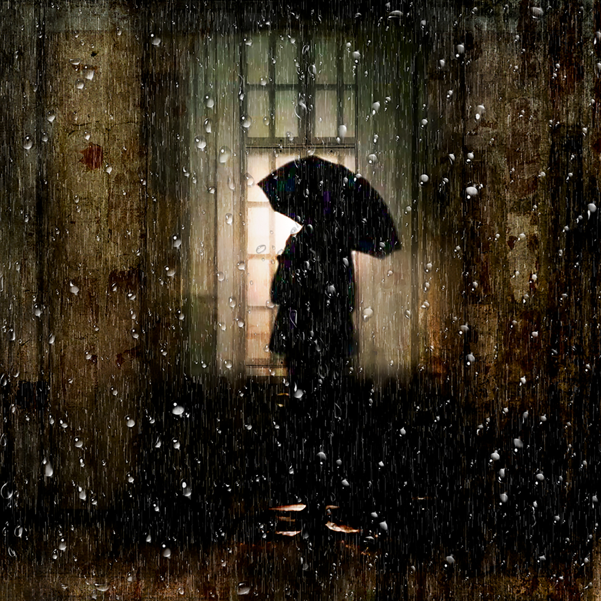 The voyeur