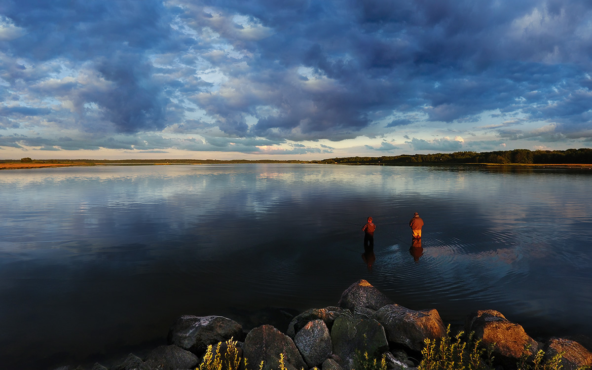 The silence of fishing