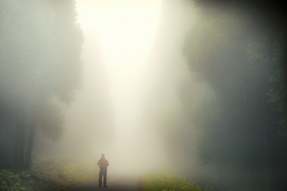 Fog