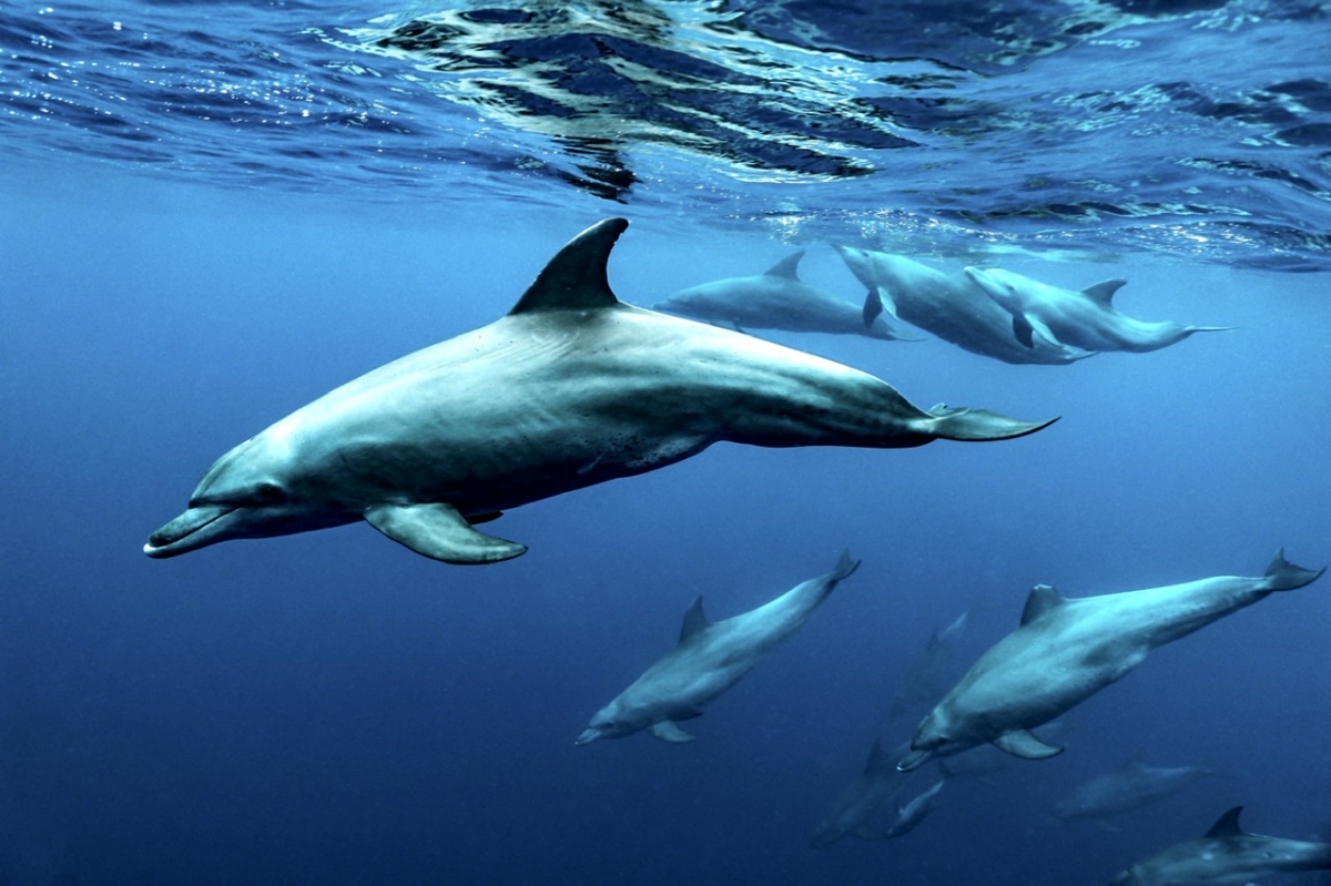 Into the blue