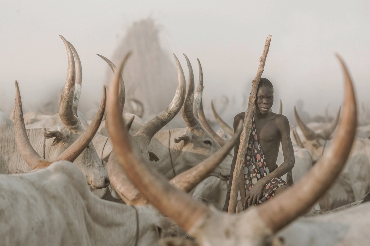 Mundari Cattle Herder