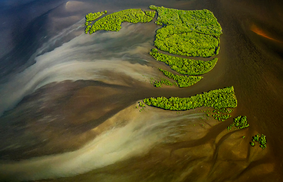 Mangroves and mud