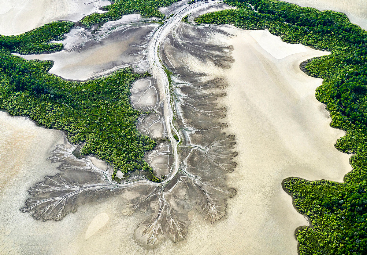 Tidal flats and mangroves 2