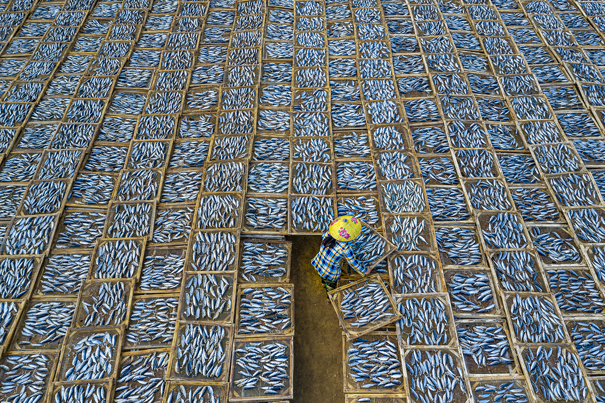 Drying fish