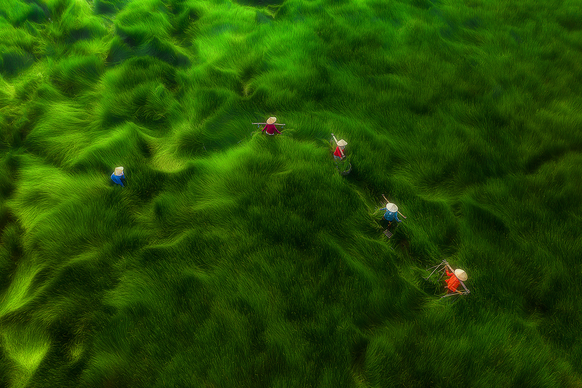 Crossing the field