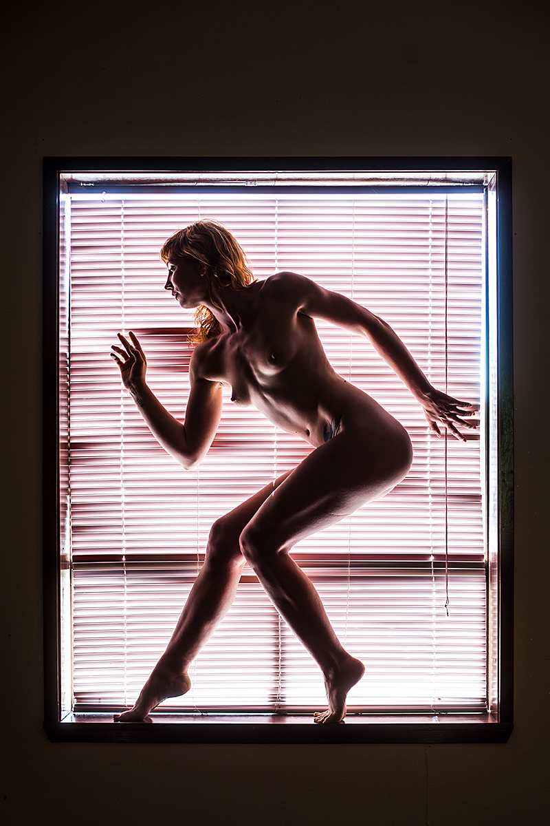 Framed by Light