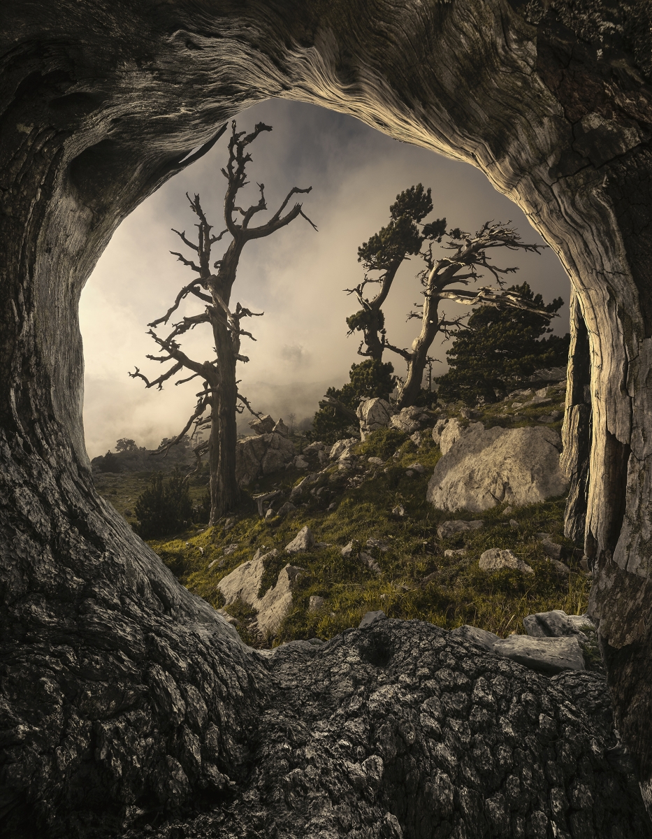 Window to the Past