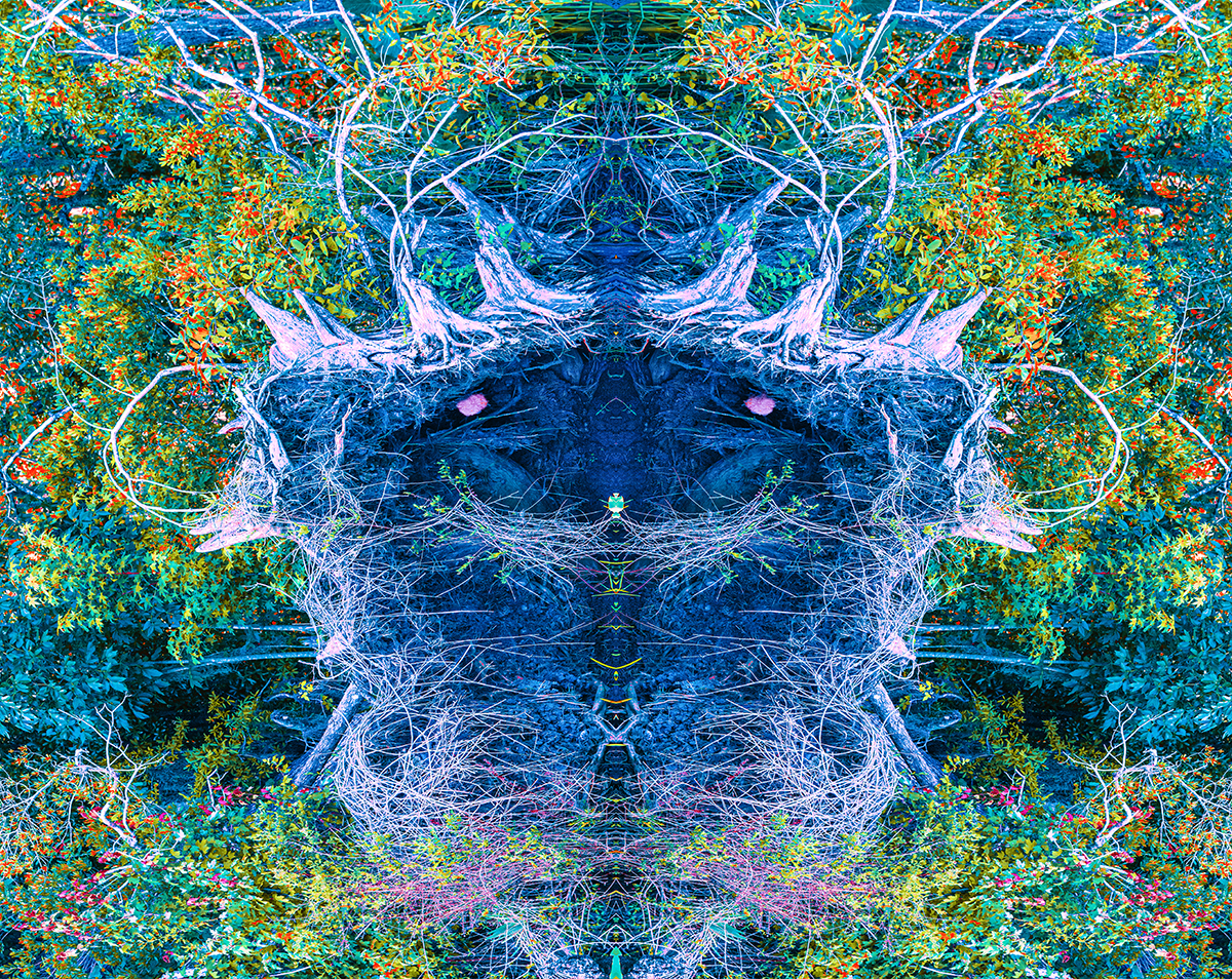 SWAMPROOT DEVIL