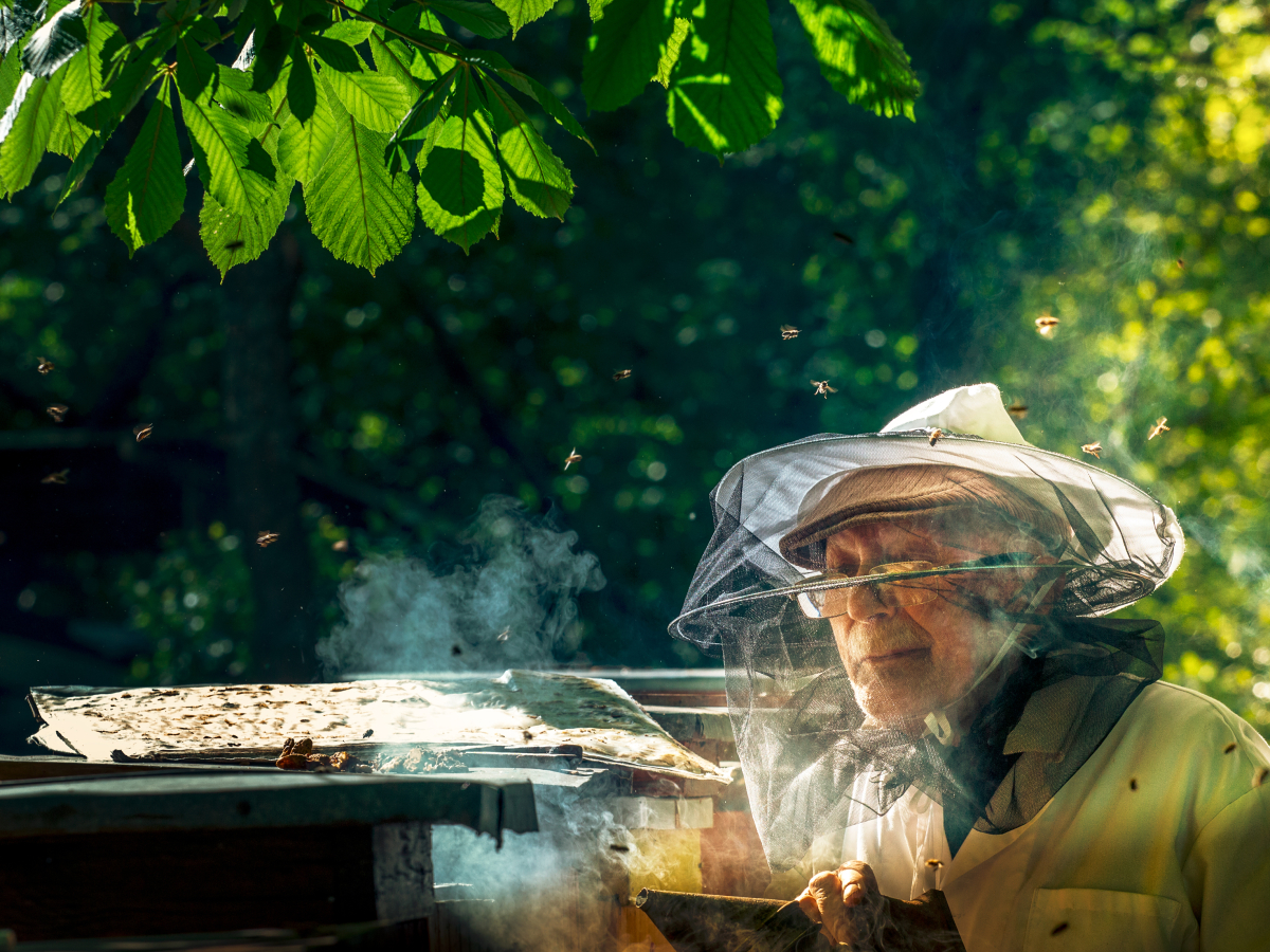 Beekeeper