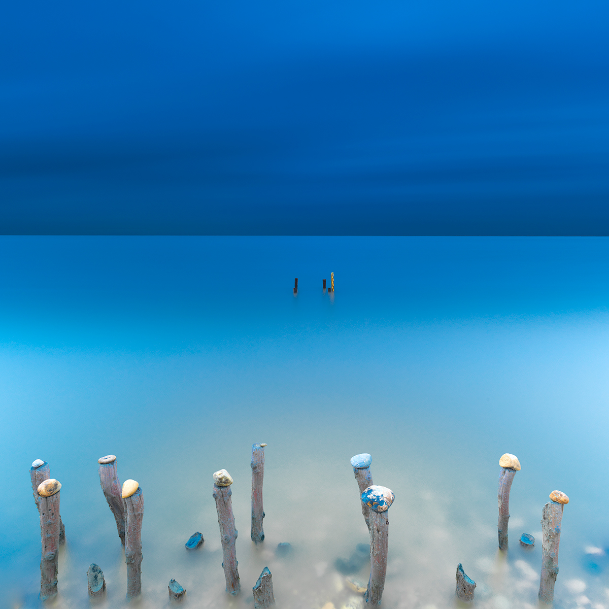 Harmony