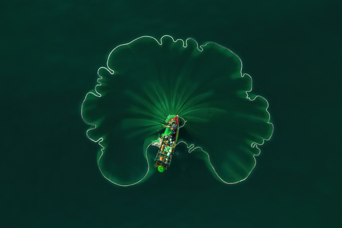 OCEAN LOTUS LEAF