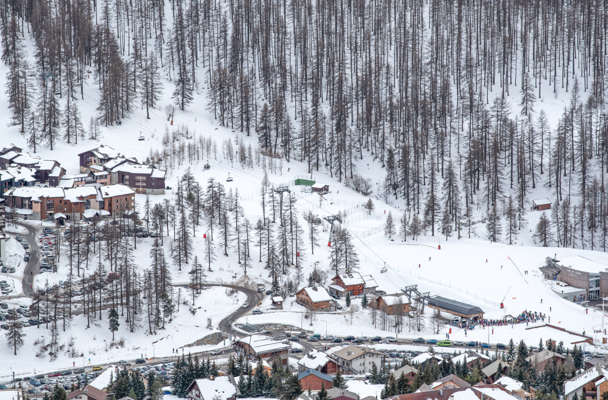 Winter Playgrounds