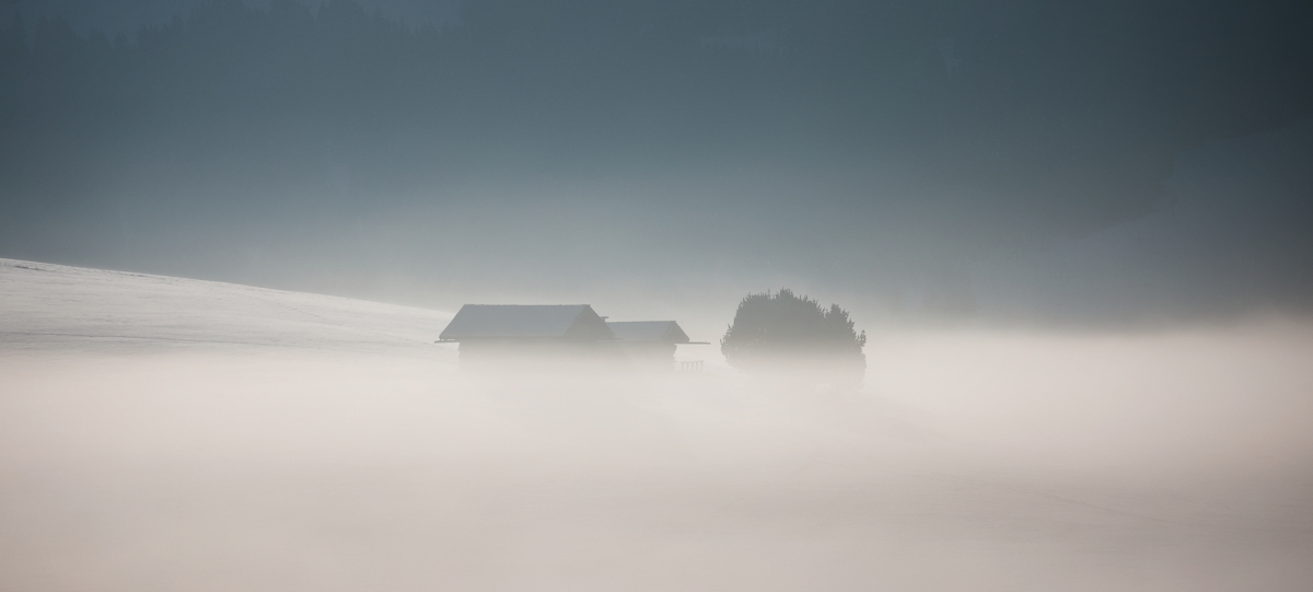 swallowed by fog