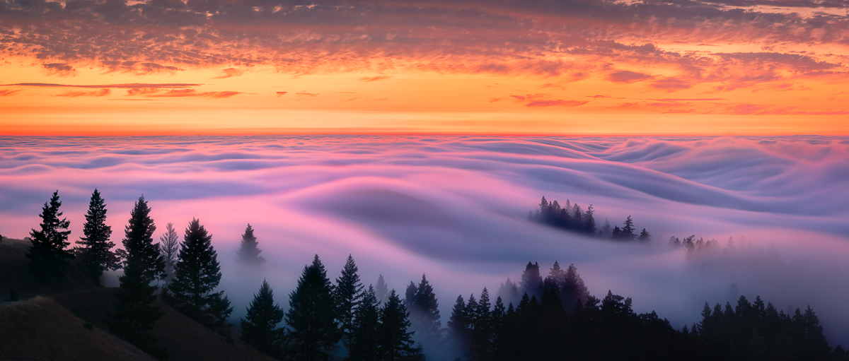 Rolling Fog