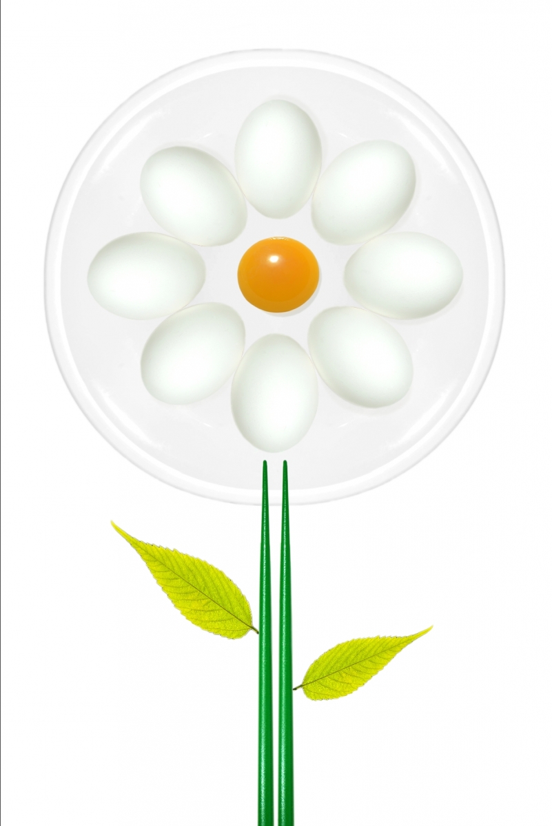 Eggs Flower