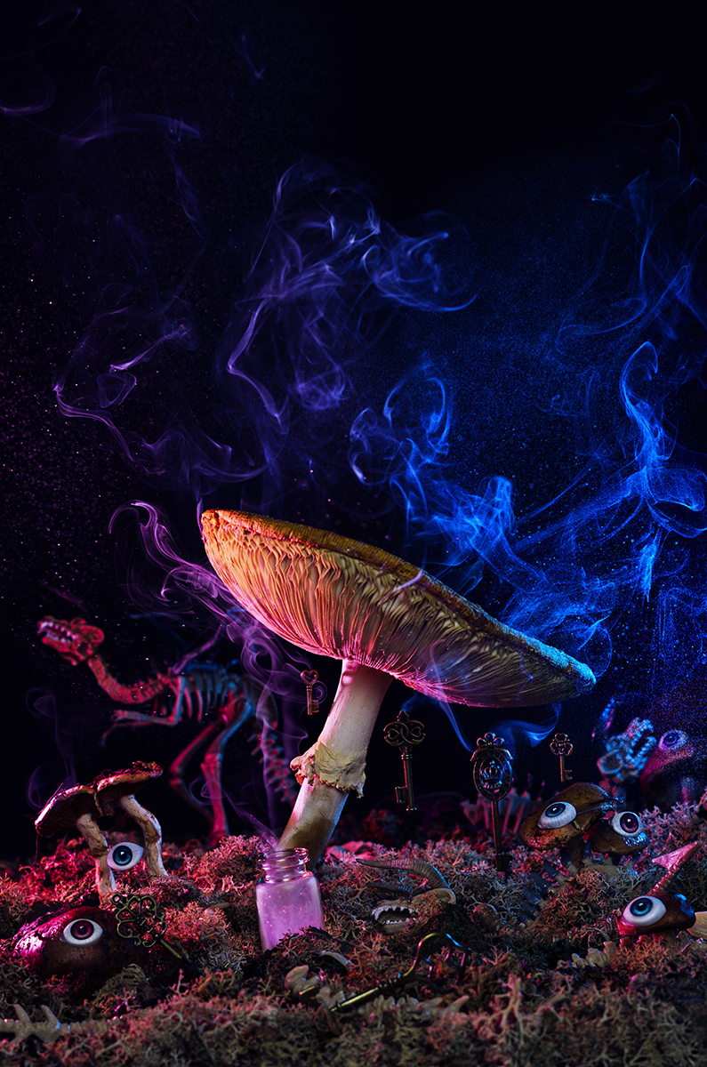 DEEP DOWN THE RABBIT HOLE