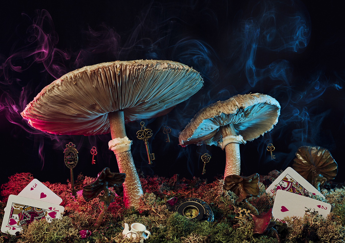 Wonderland