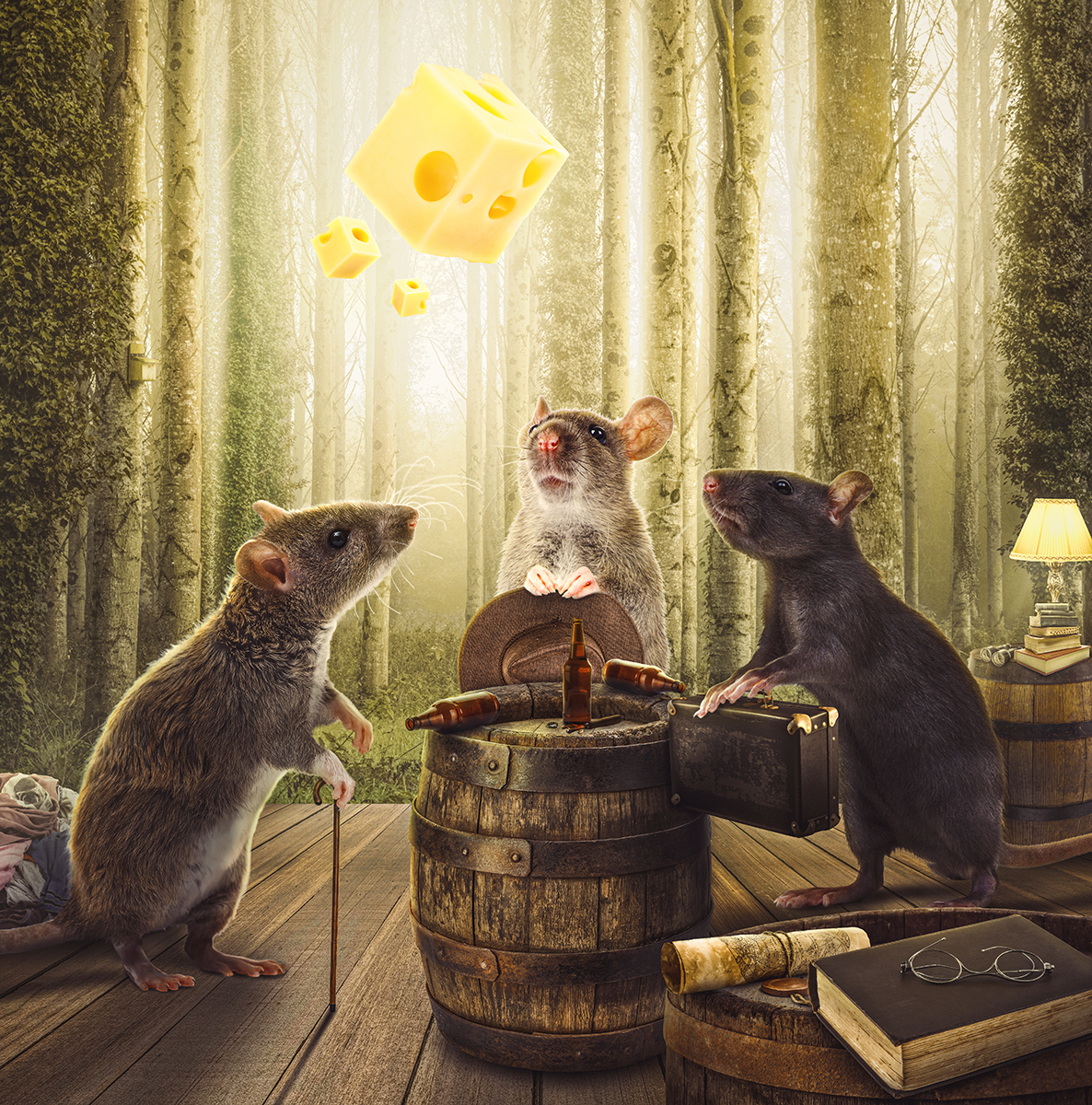 Magic Cheese