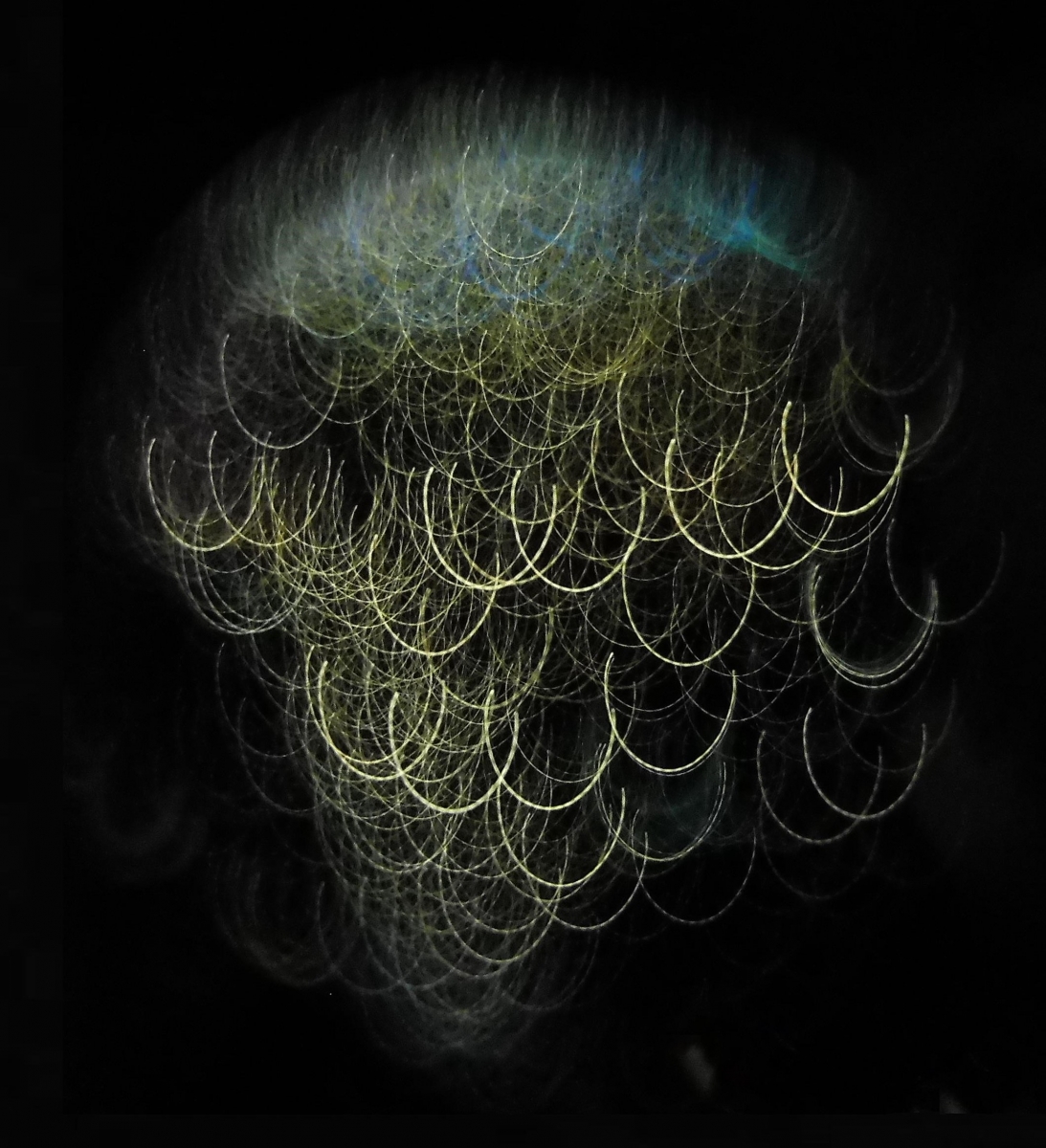fungus 