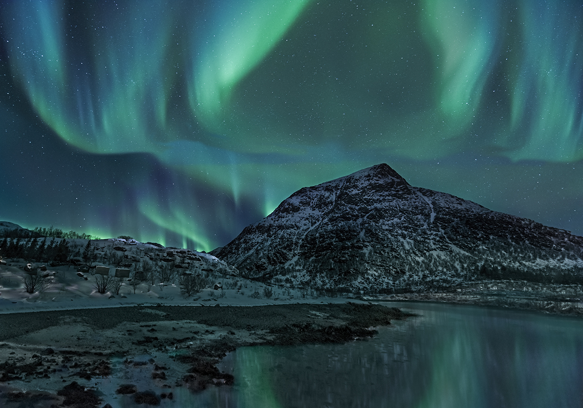 Boreal green