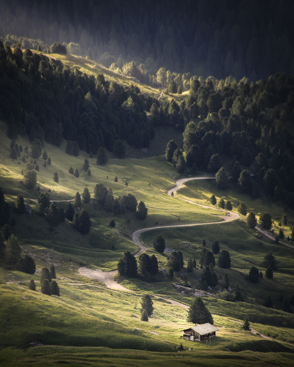 Tale of the Winding Path