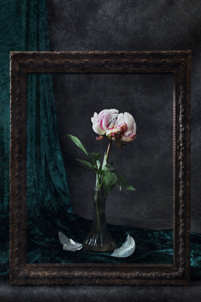 Peony 