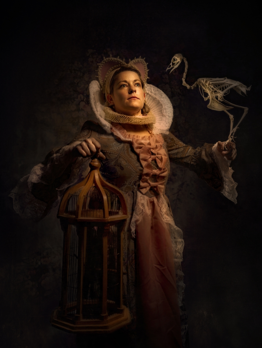 The Birdcage