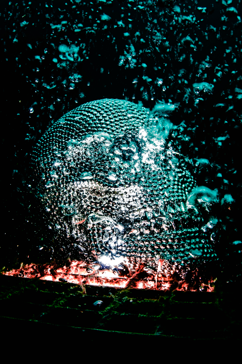 The Brain