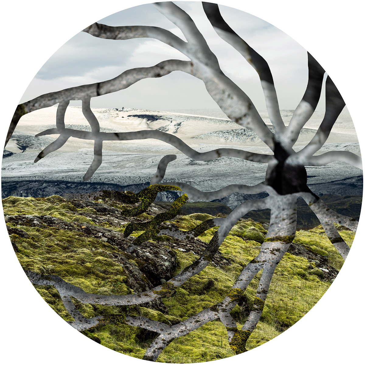 A Sense of Place - Imprints