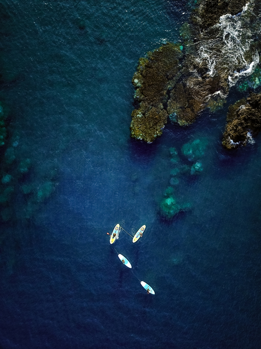 Ride the wind and the waves