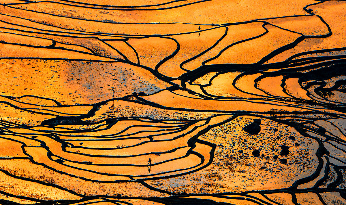 Terraced Field