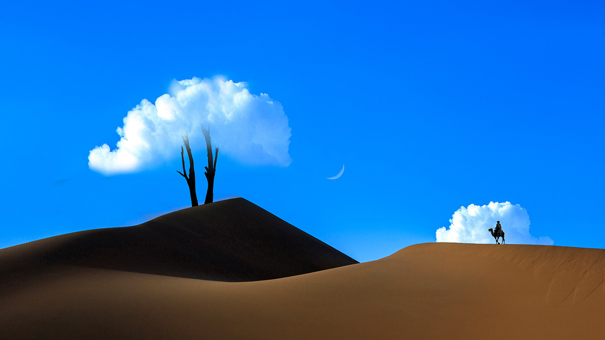 Desert Hills