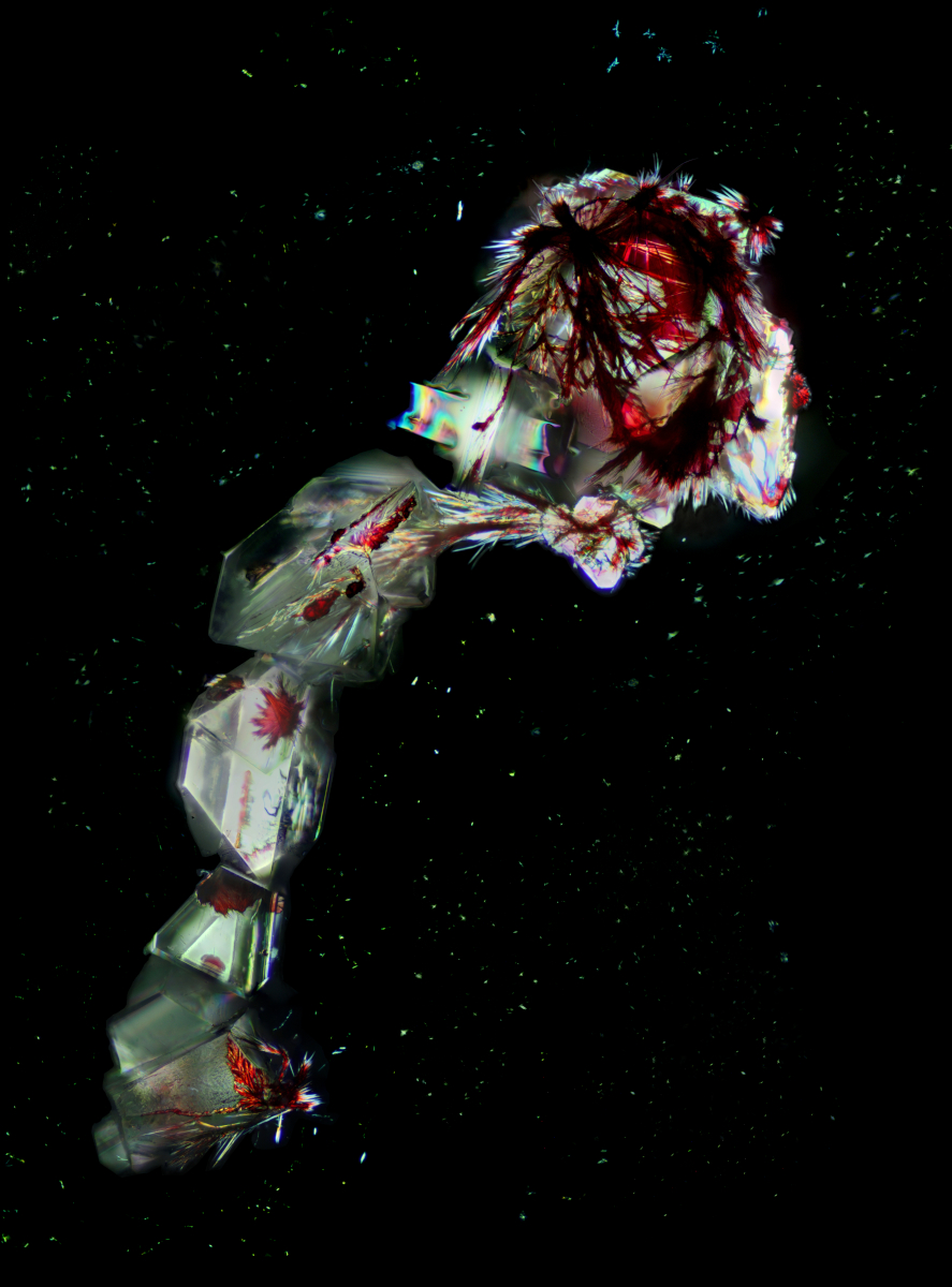 Scorpio